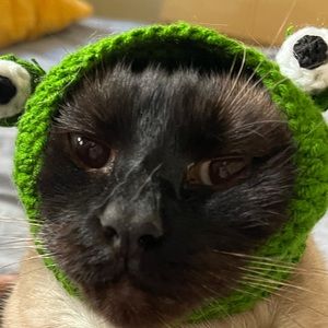 Meet your Posher, Anna